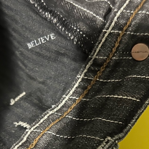 NWT $188 Habitual | Pinstripe Bootcut Flare Jeans - Picture 9 of 11